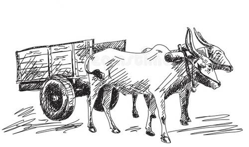 cow-carries-cart-hand-drawn-40660111.jpg