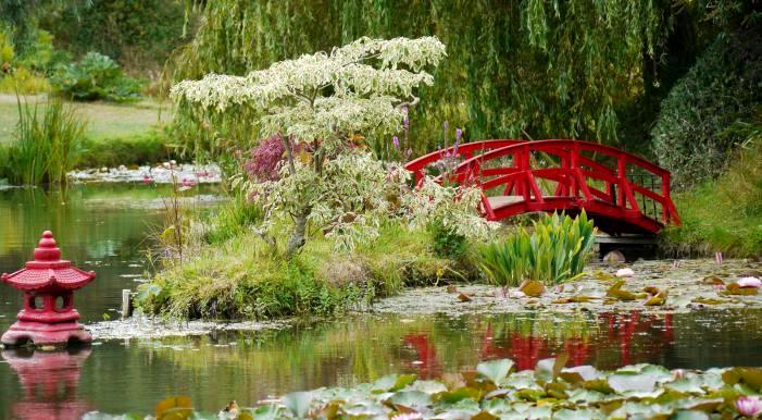 Sunday bennetts-water-garden.jpg