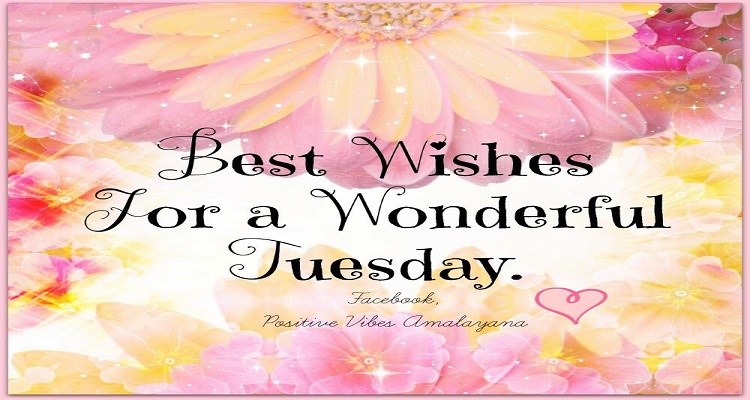 tuesday-wishes.jpg